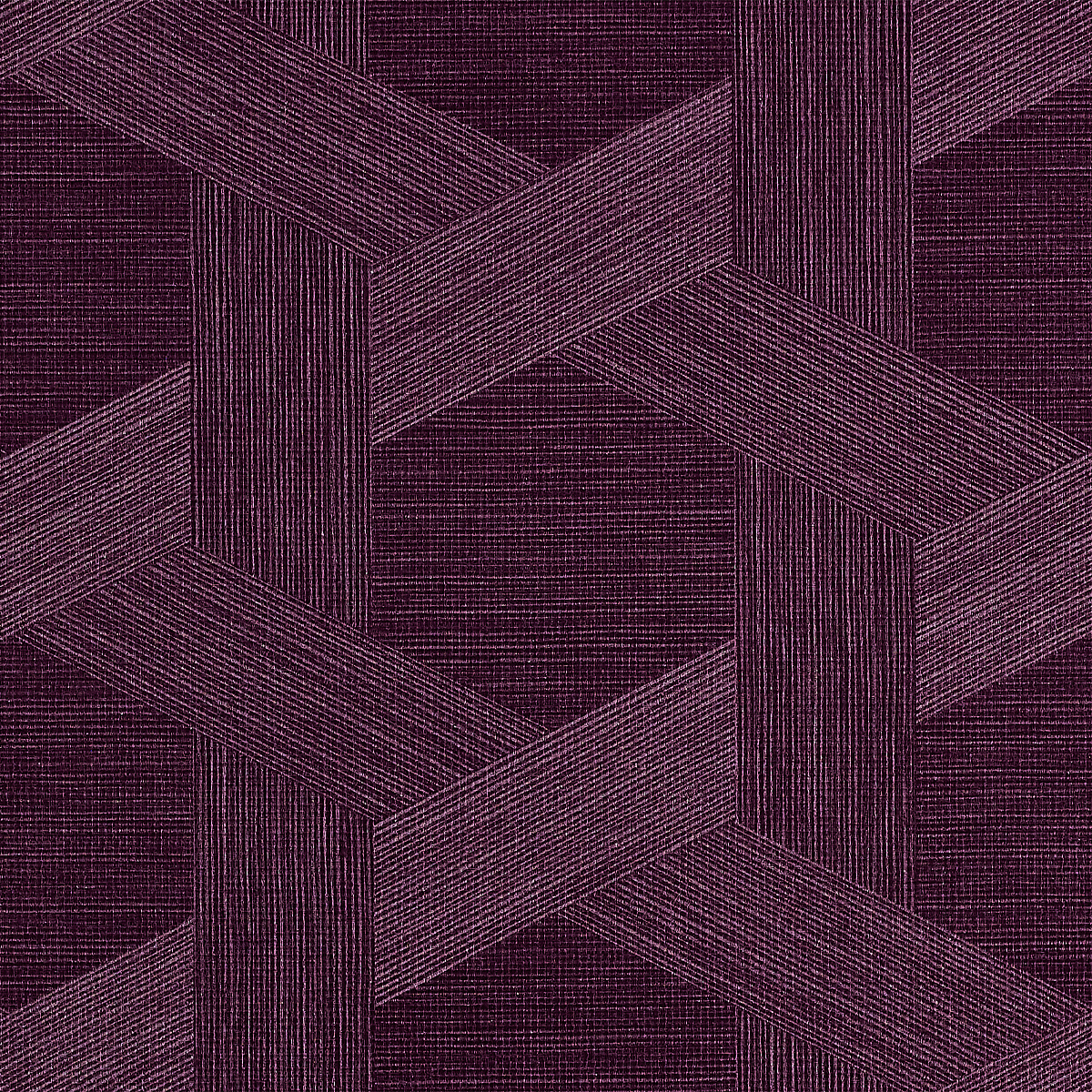 Violet Aster