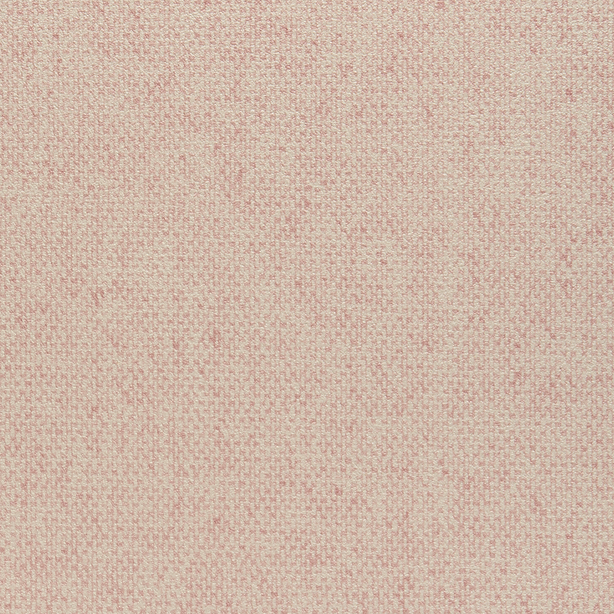 Aberdeen Blush