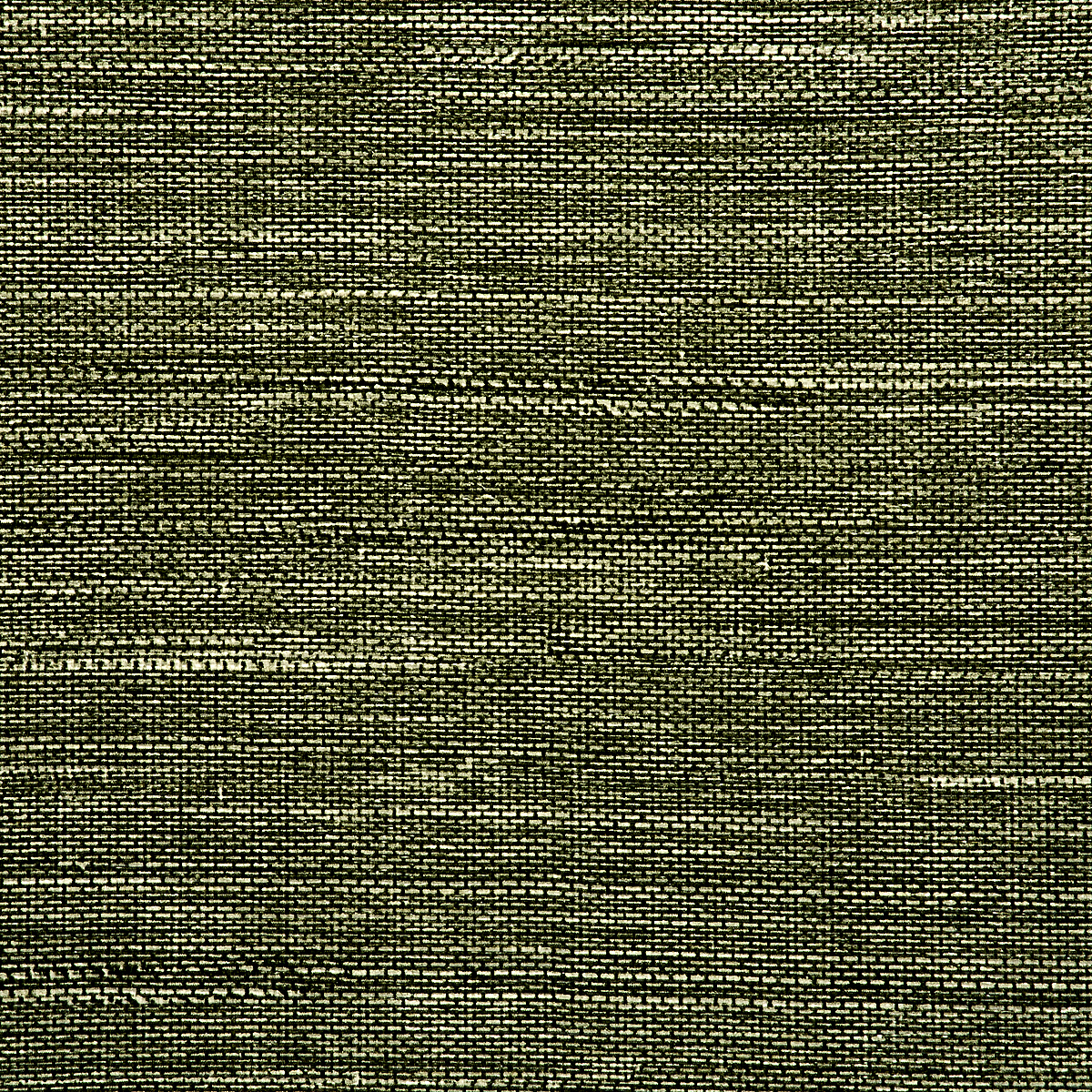 Fern