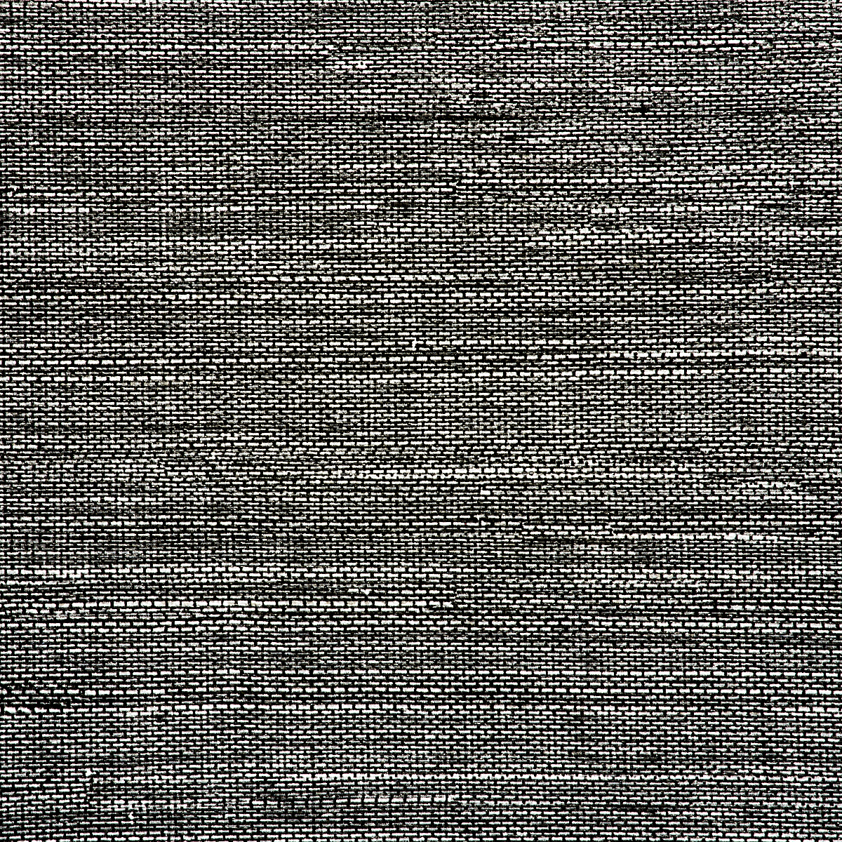Blank Slate