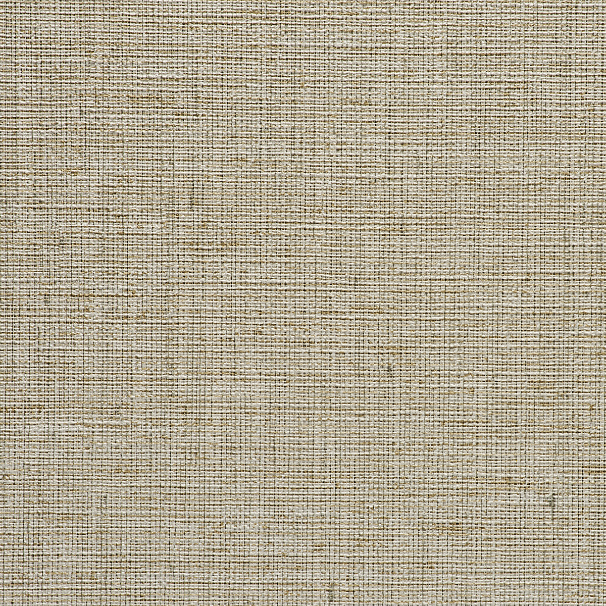 Sand Dune