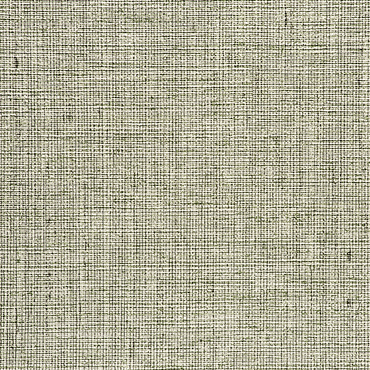 Tortoise Green