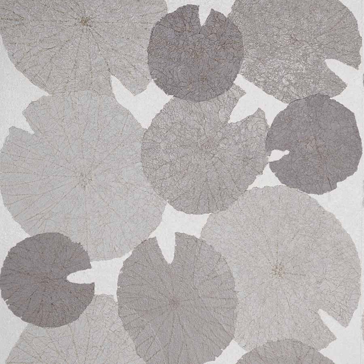 Lilies — Grey Ripple
