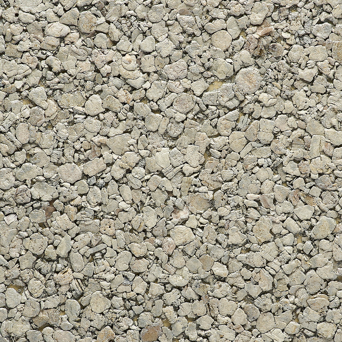 Dusted Pearl
