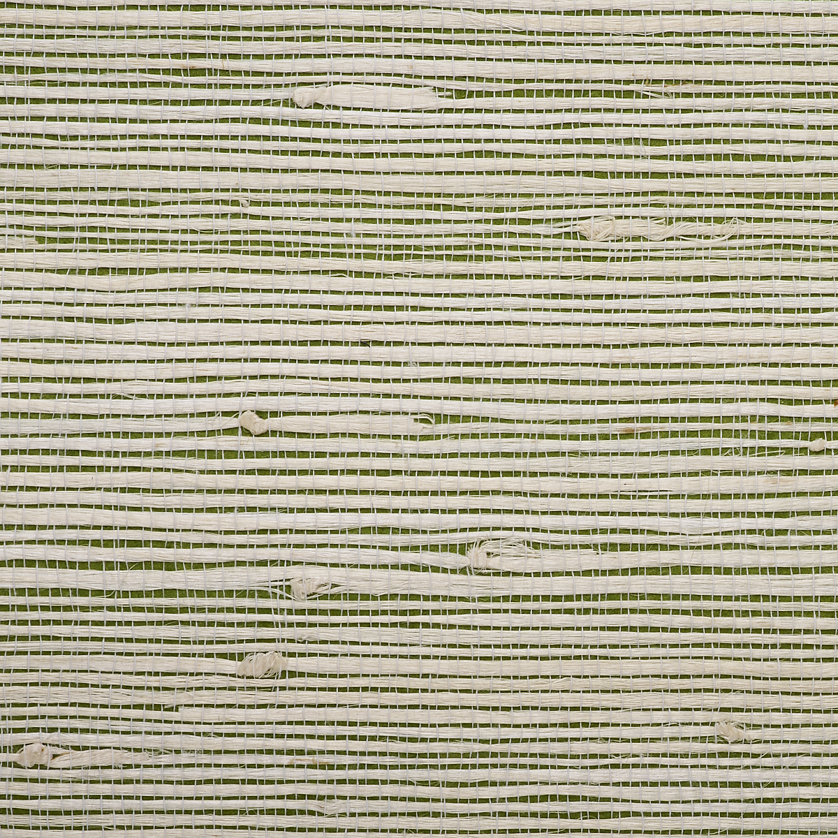 Green Groove
