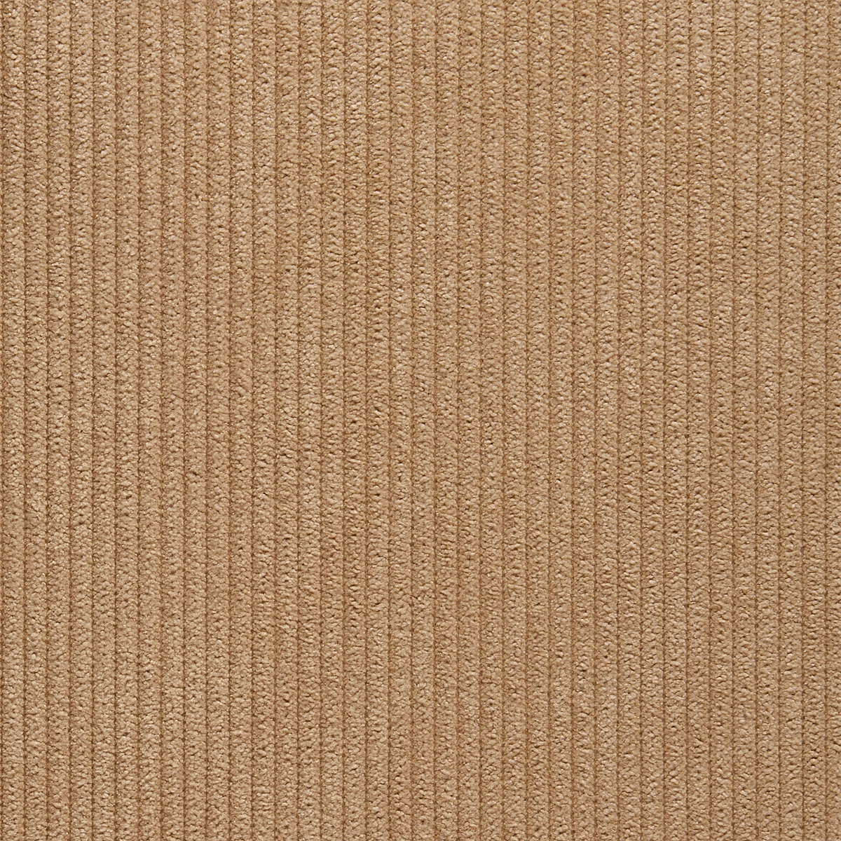 Tufted Tan