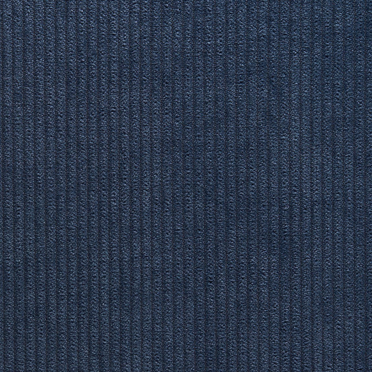 Pleated Peacock