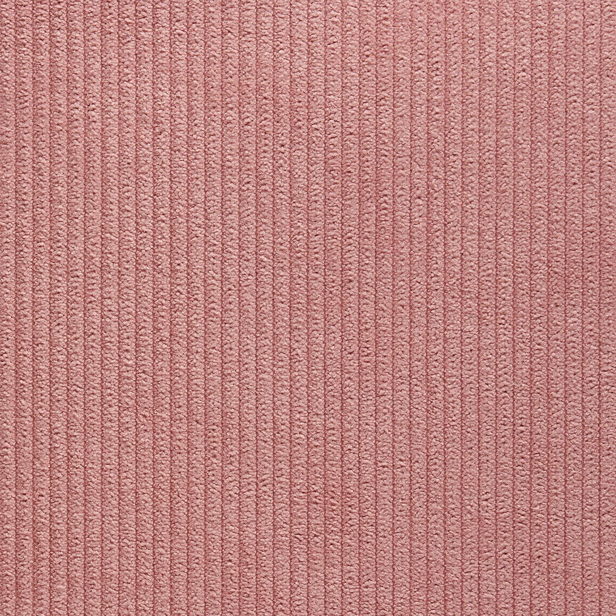 Pinwale Pink