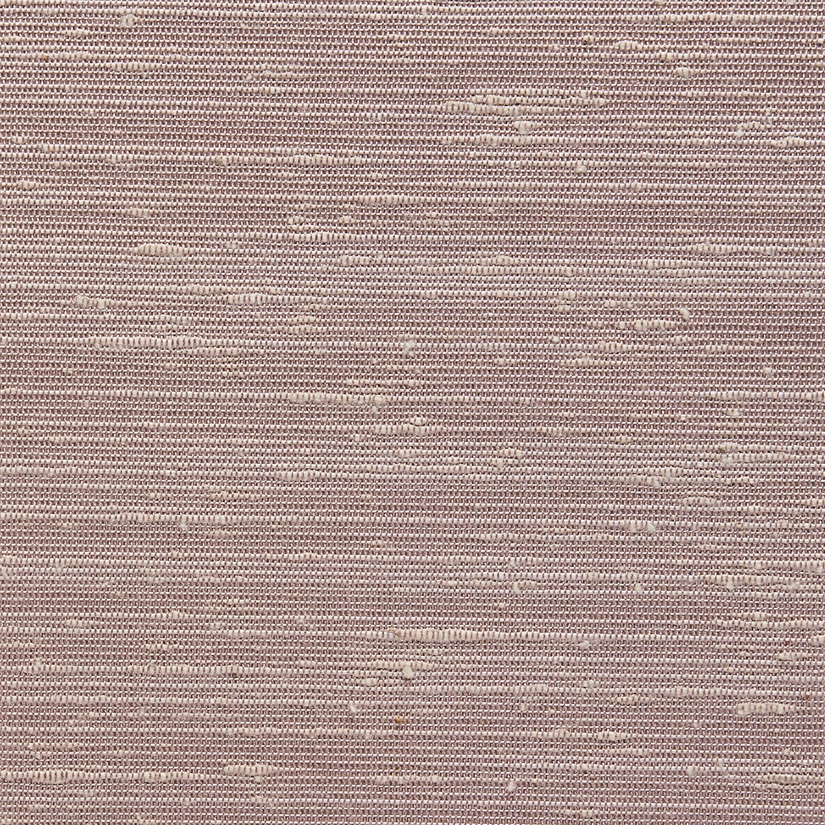 Mauve Moment