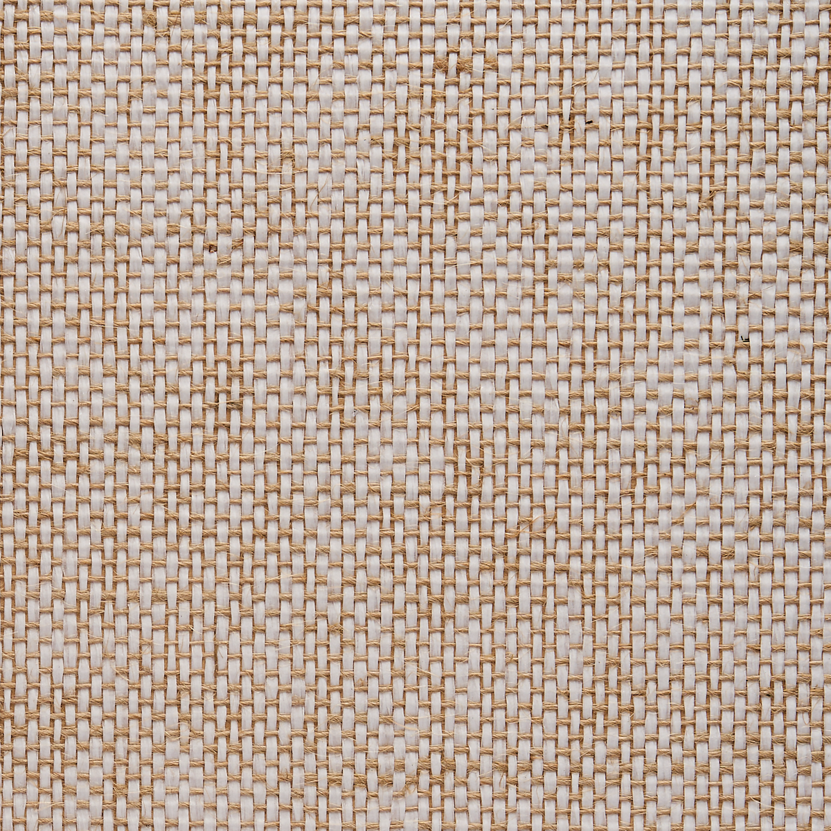 Desert Dust