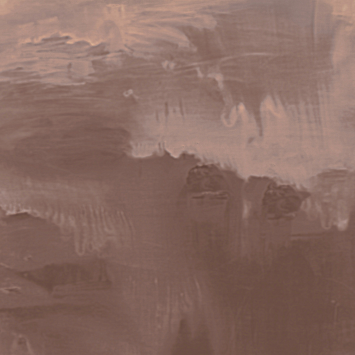 Rose on Star Dust Silk