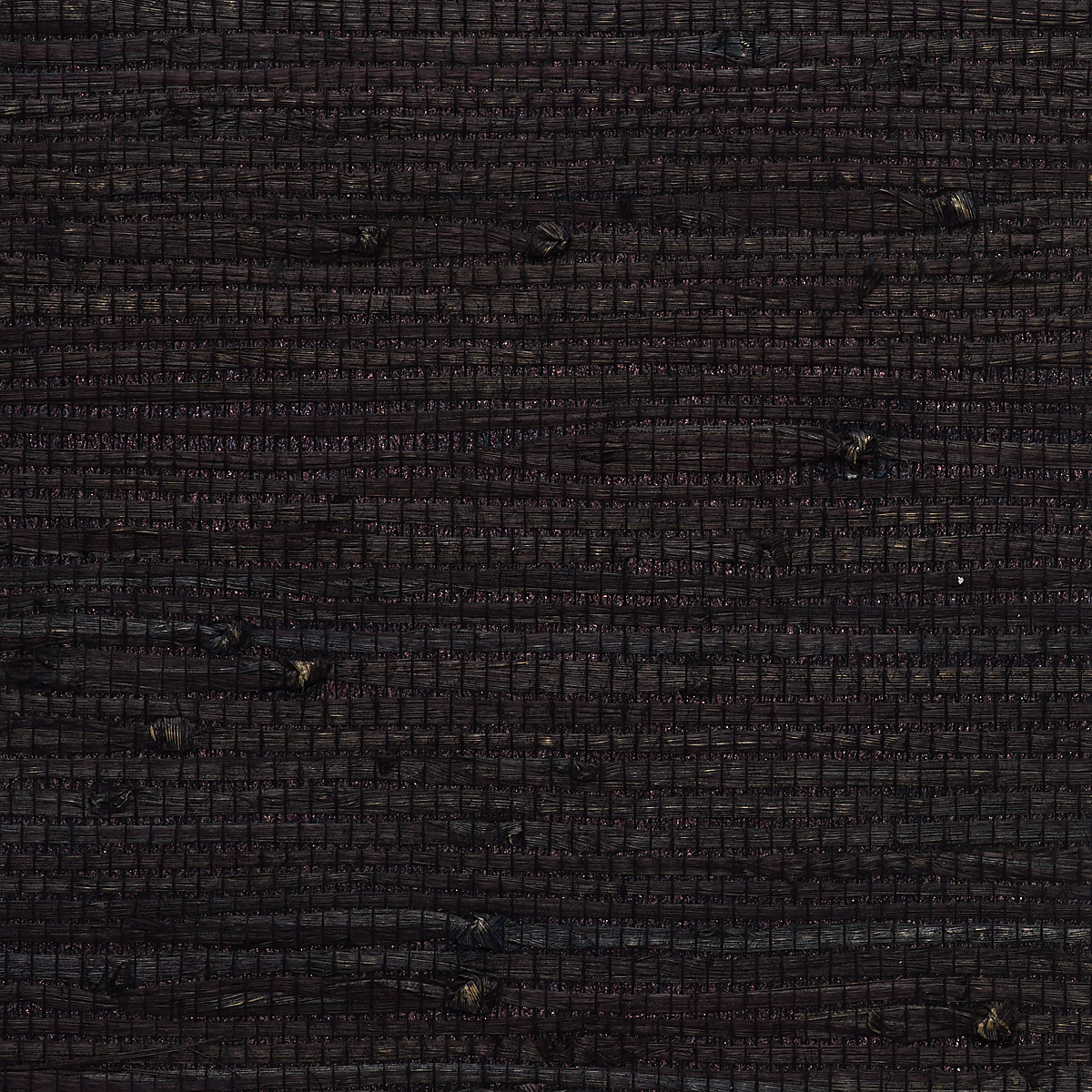 Black Swan