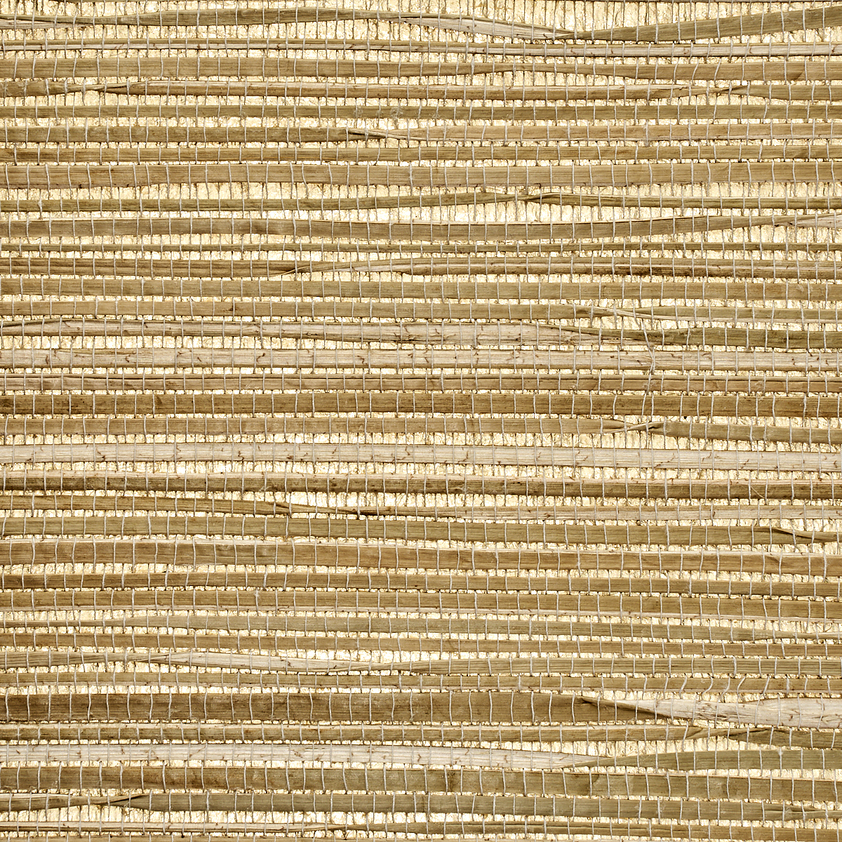 Wood Chip