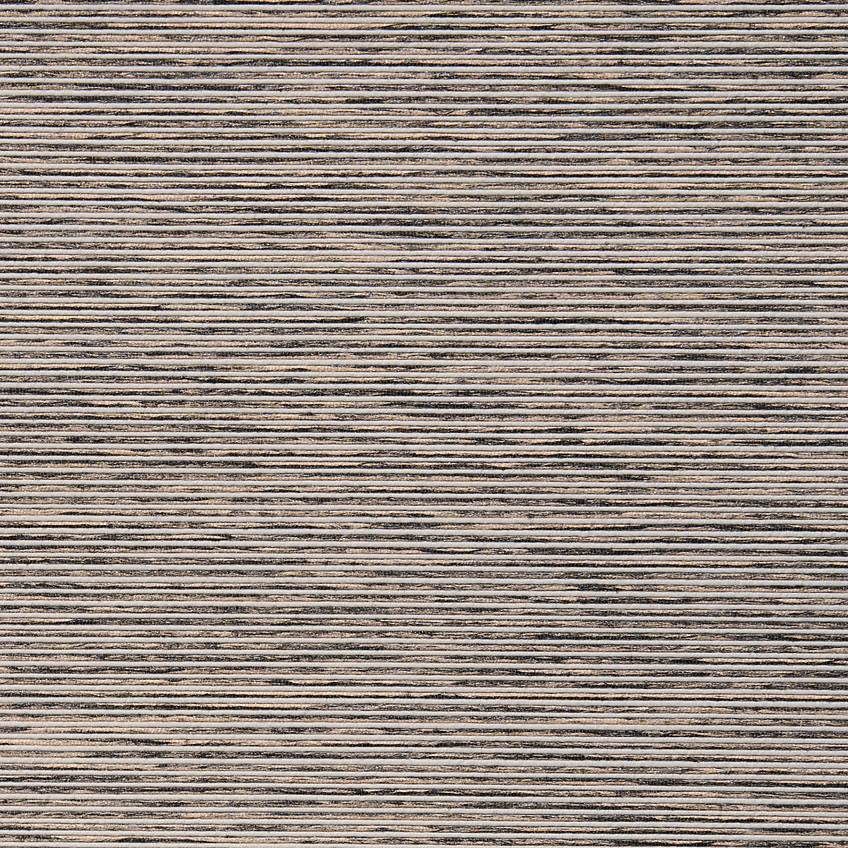 Tribeca Threads — Thomas Tan
