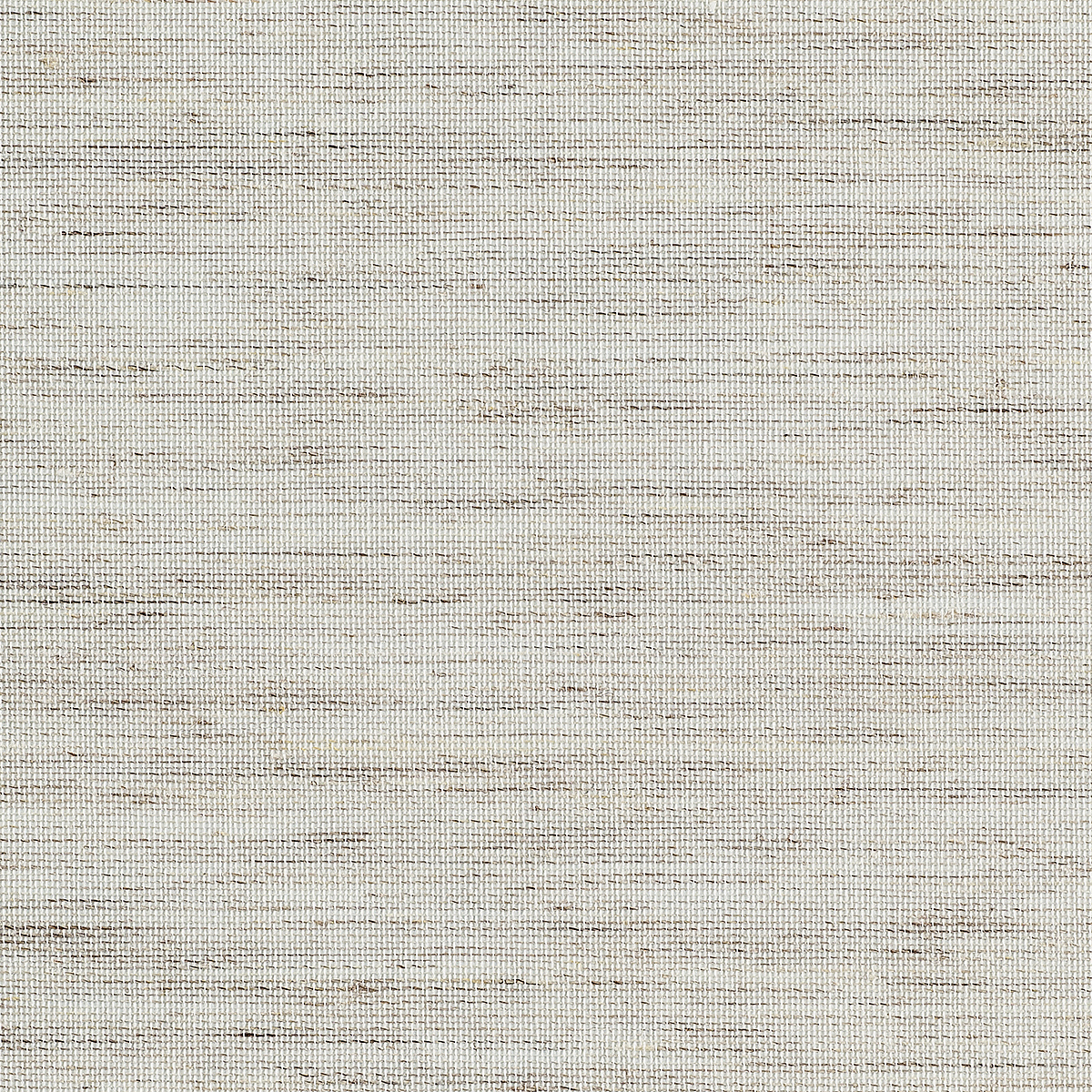 Coconut Chips