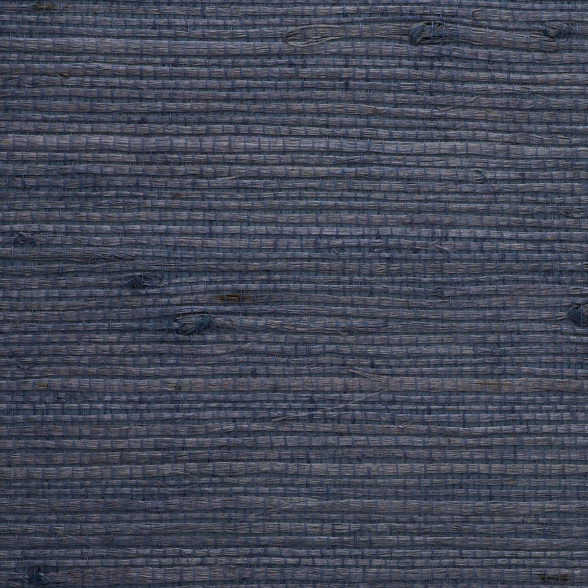 Blue Violet