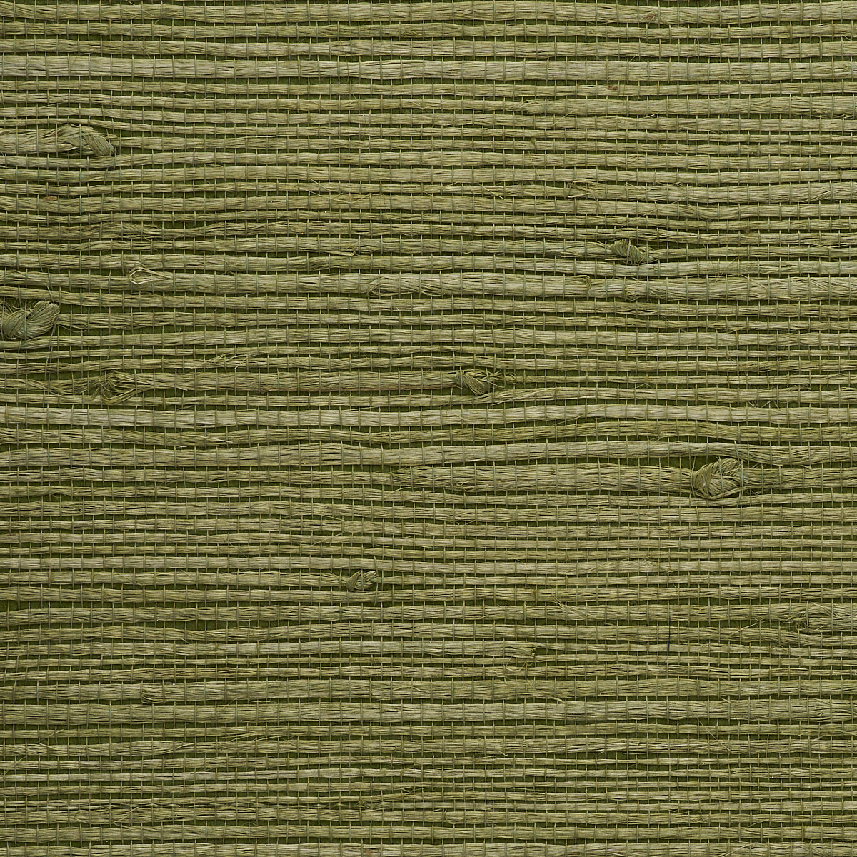Garden Green