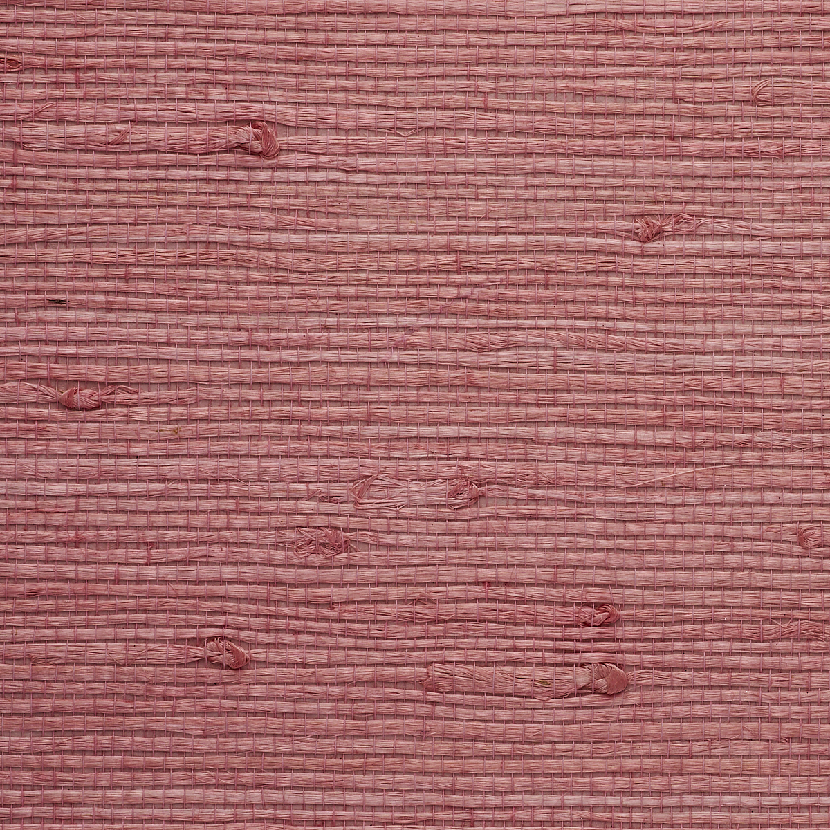 Bubblegum Pink