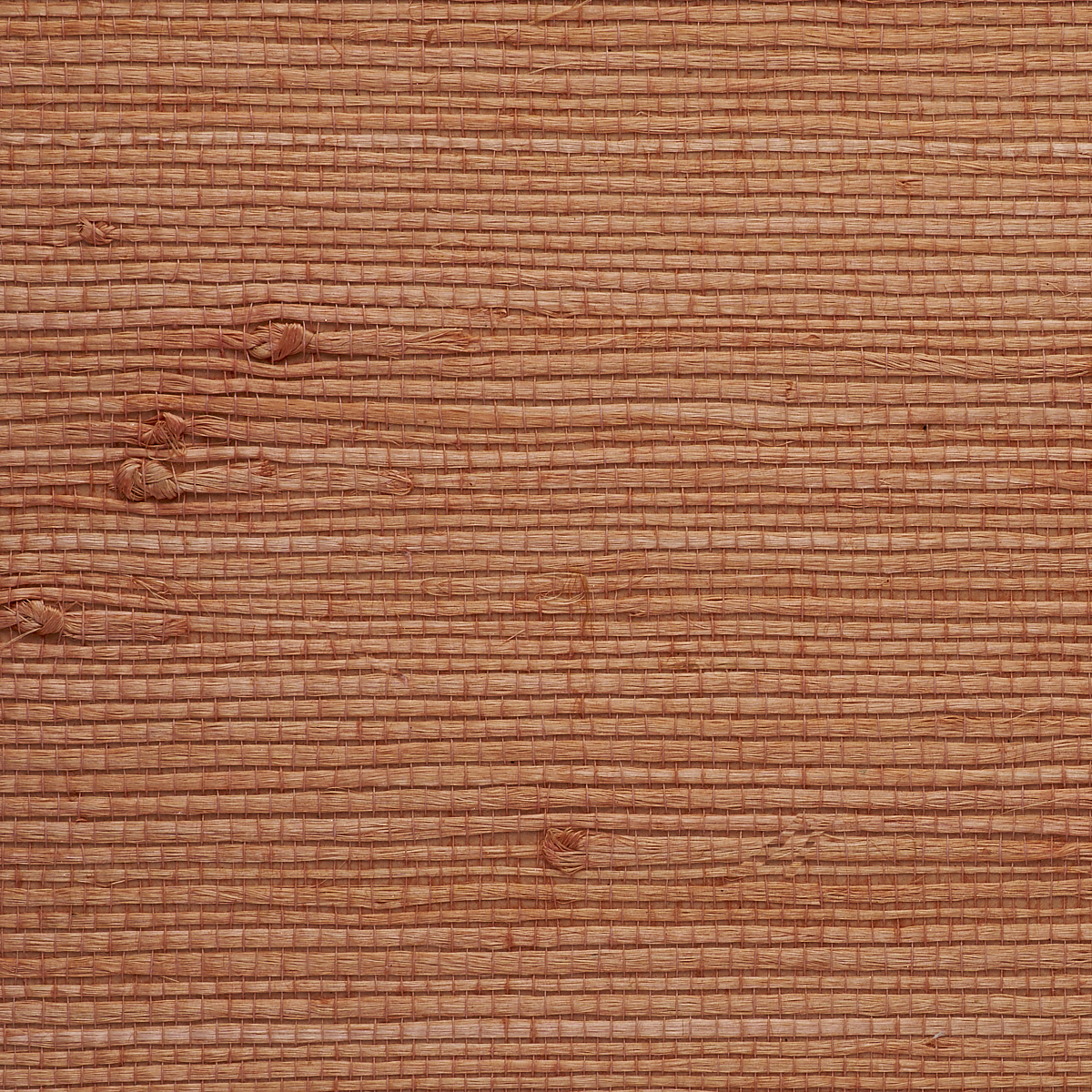 Florida Orange