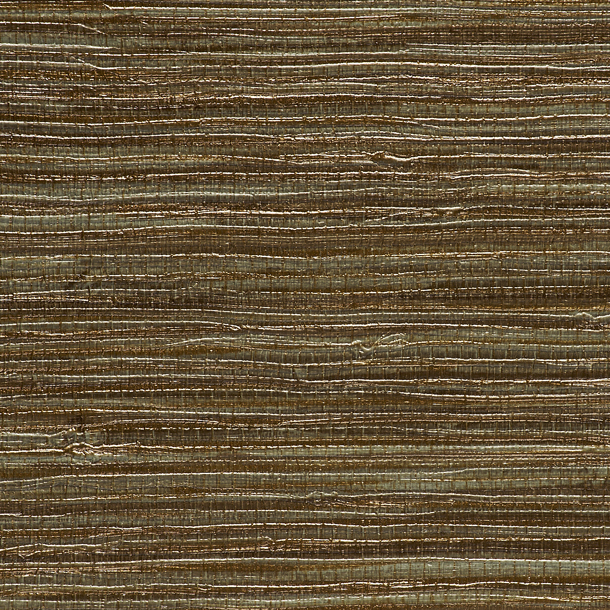 Olive Dream