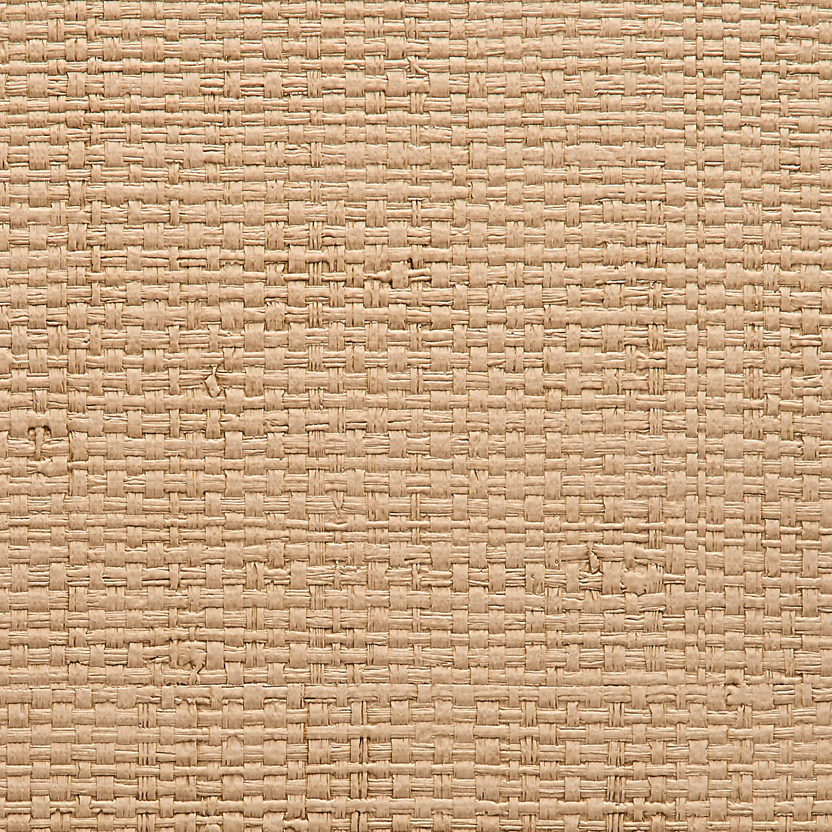 Sea Wall Beige