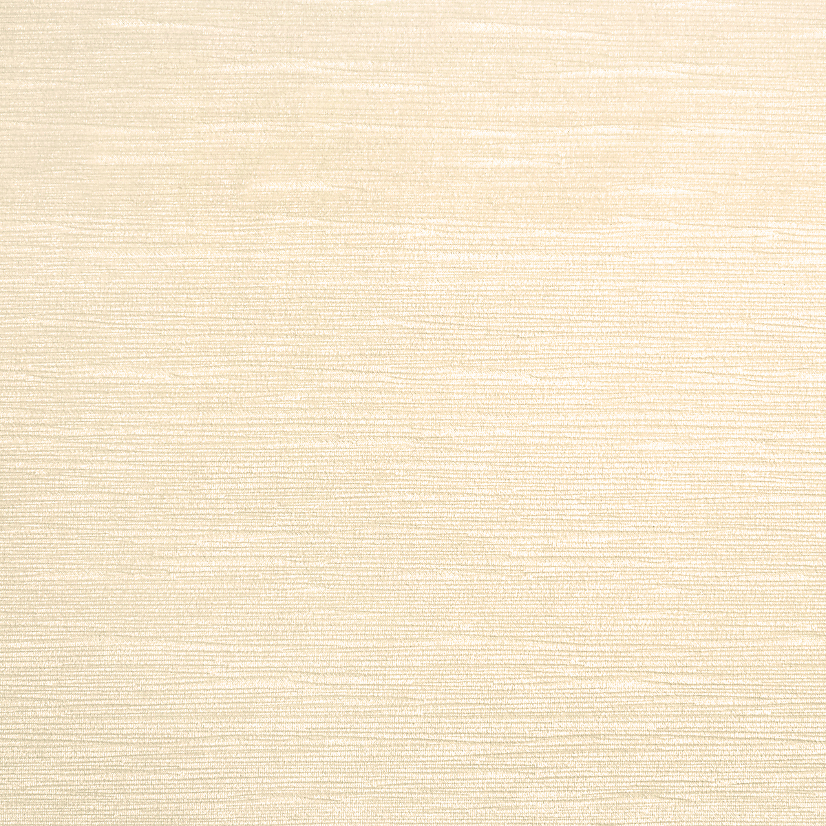 Book Page White