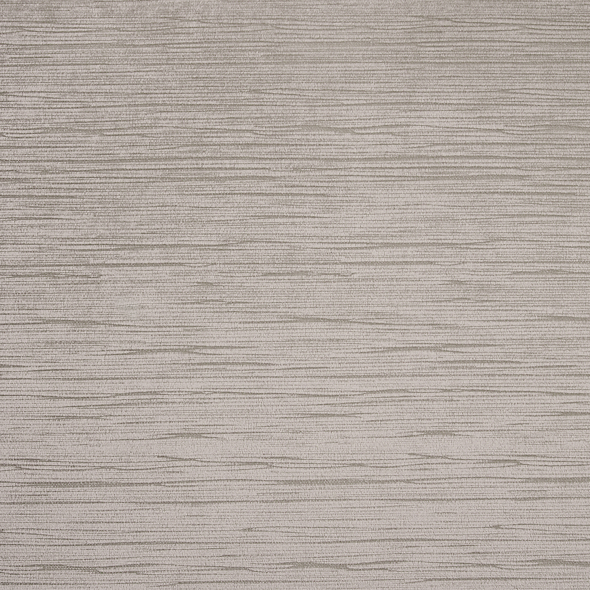 Star Gazing Grey