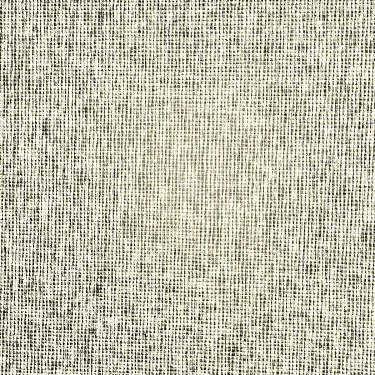 Aspen White