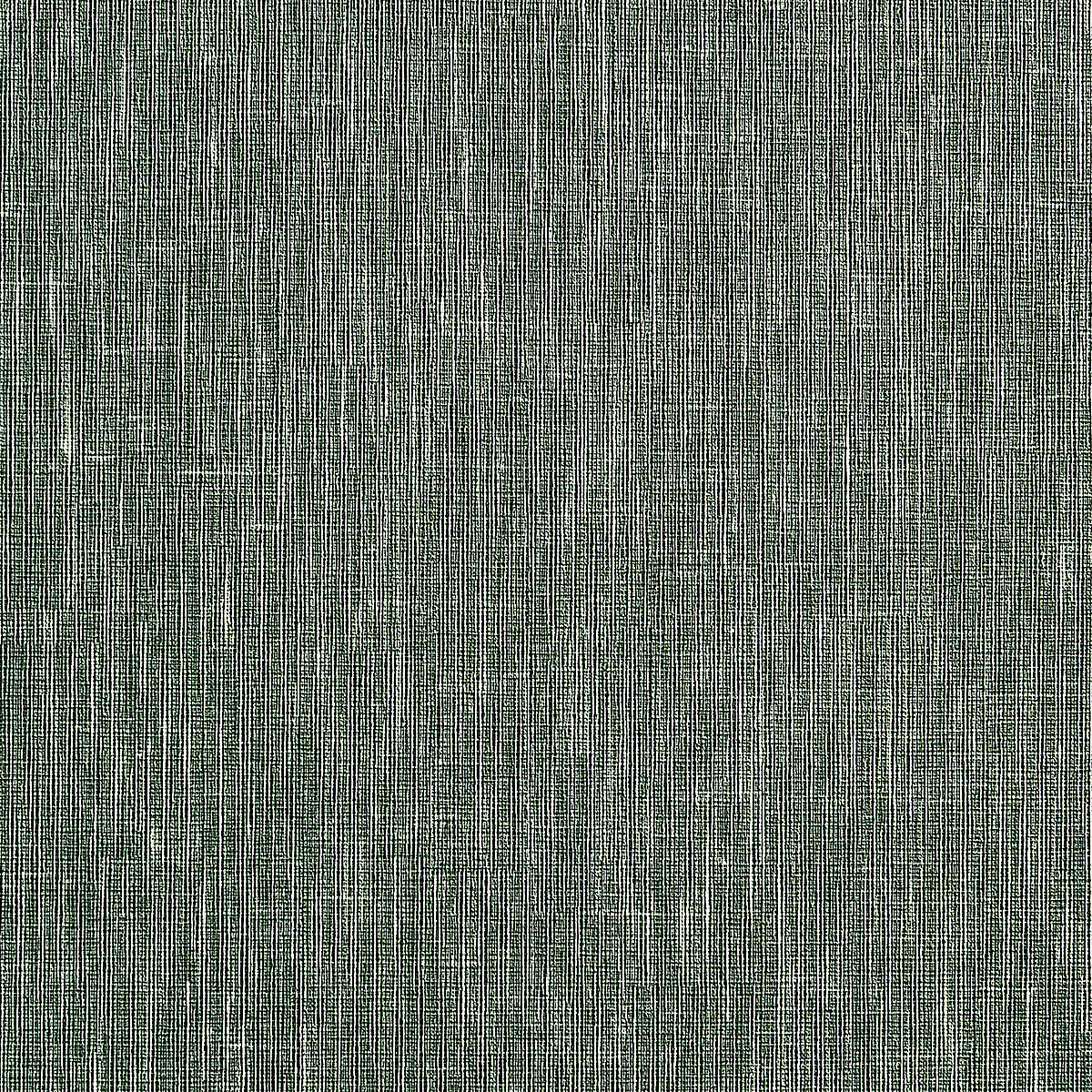 Douglas Fir