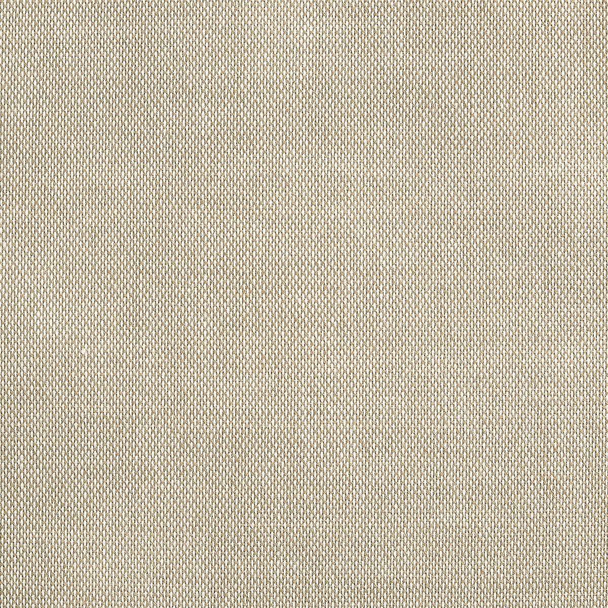 Tan Overcoat