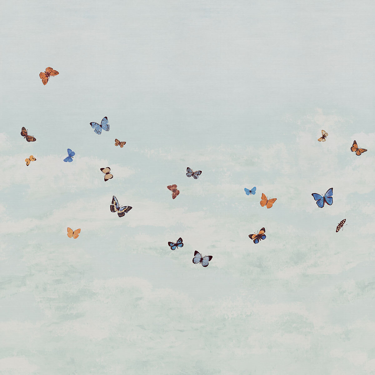 Butterfly Sky — White Admiral on Woven Walls