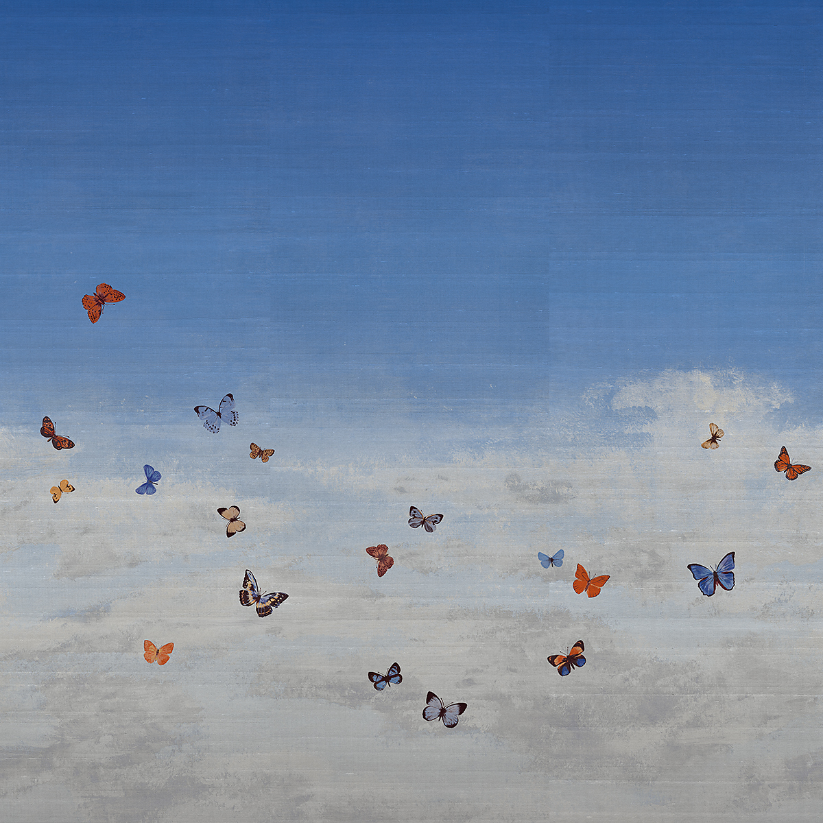 Blue Morpho on Star Dust Silk