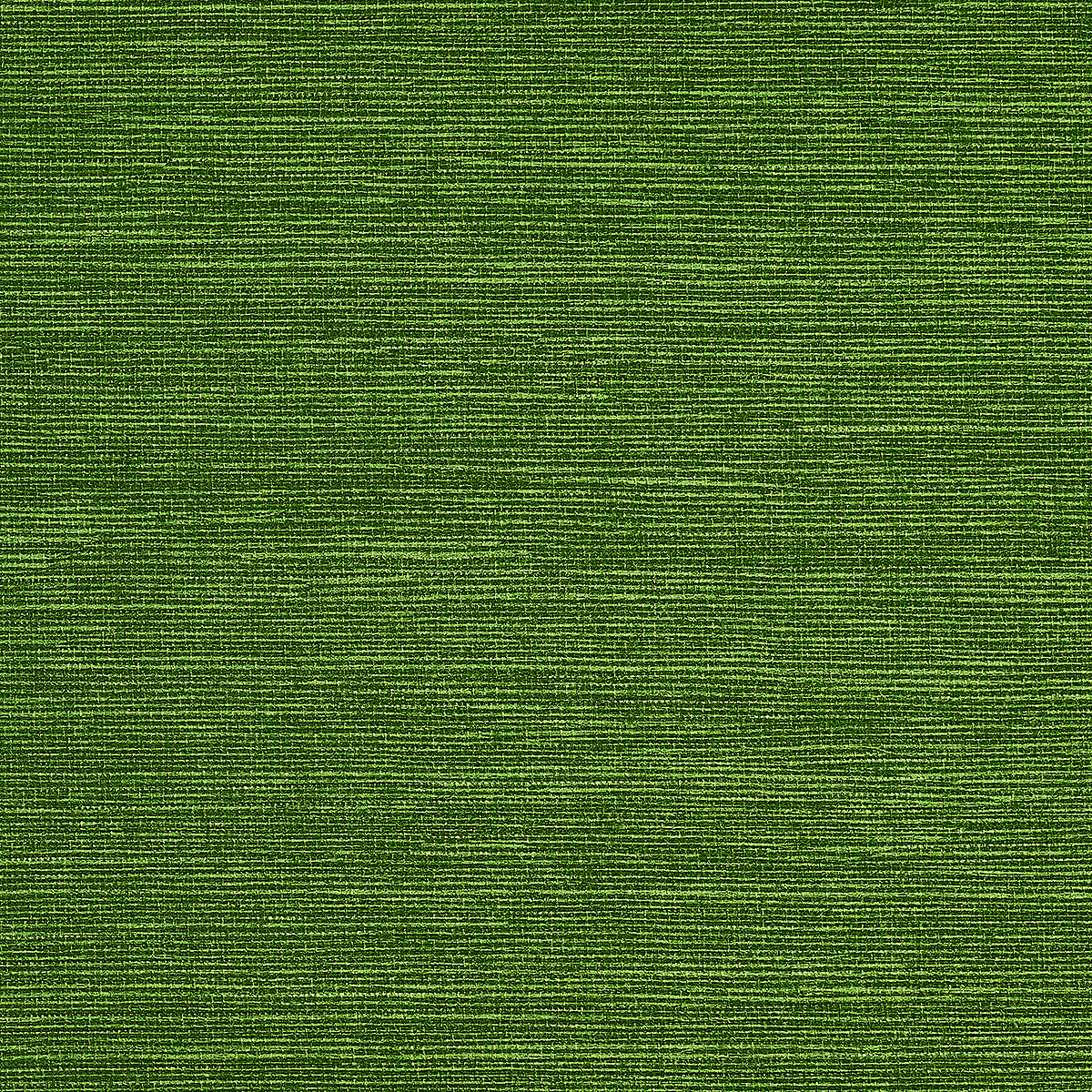 Grass