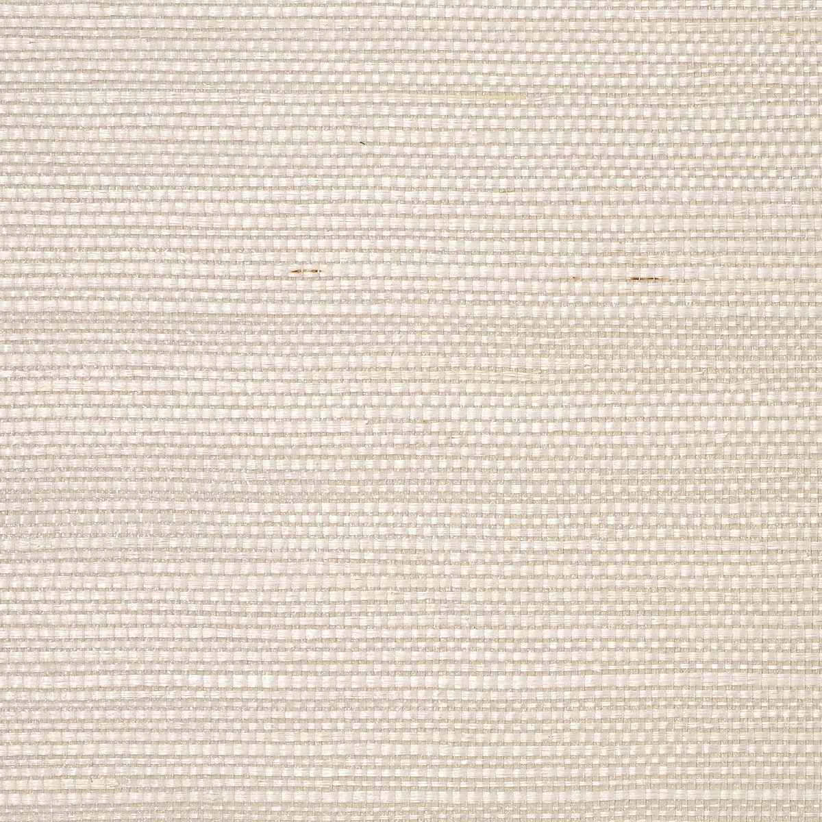 Snowdrift