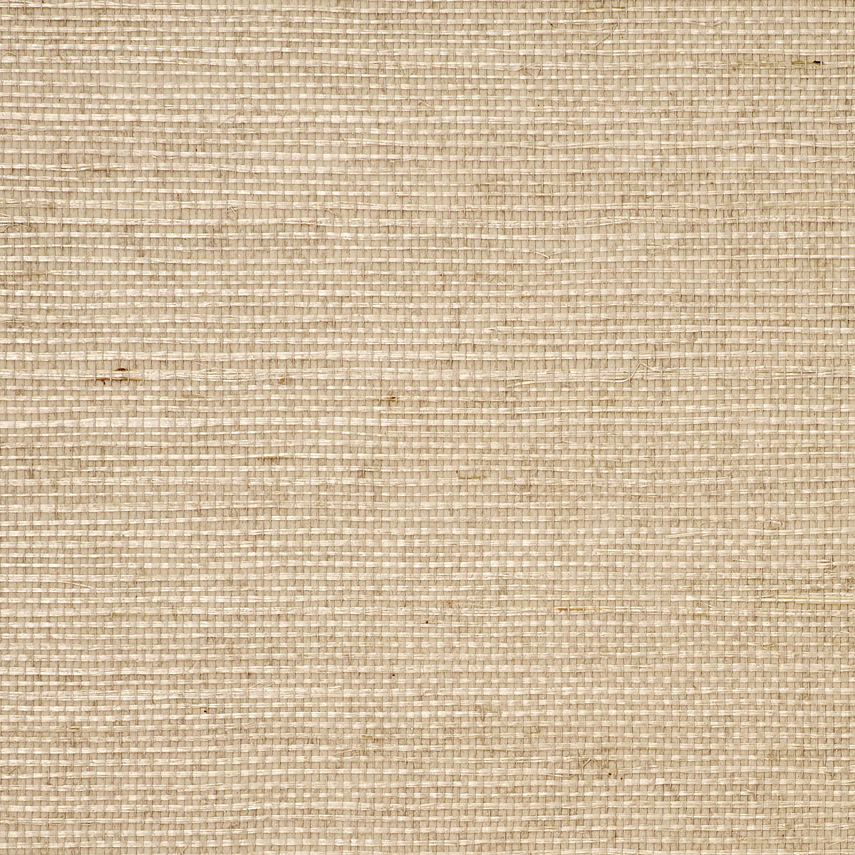 Plaster