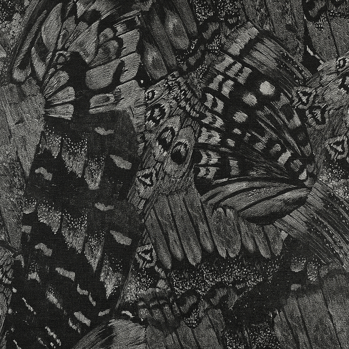 Buzzing Black on Vinyl Canvas