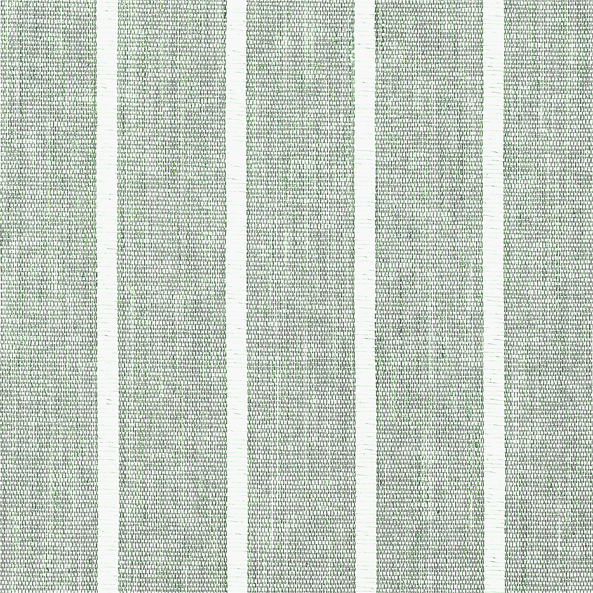 Beach Grass