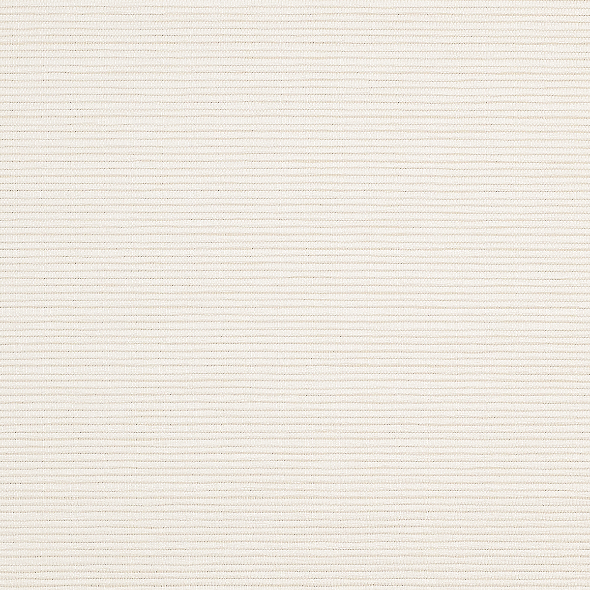 White Oleander