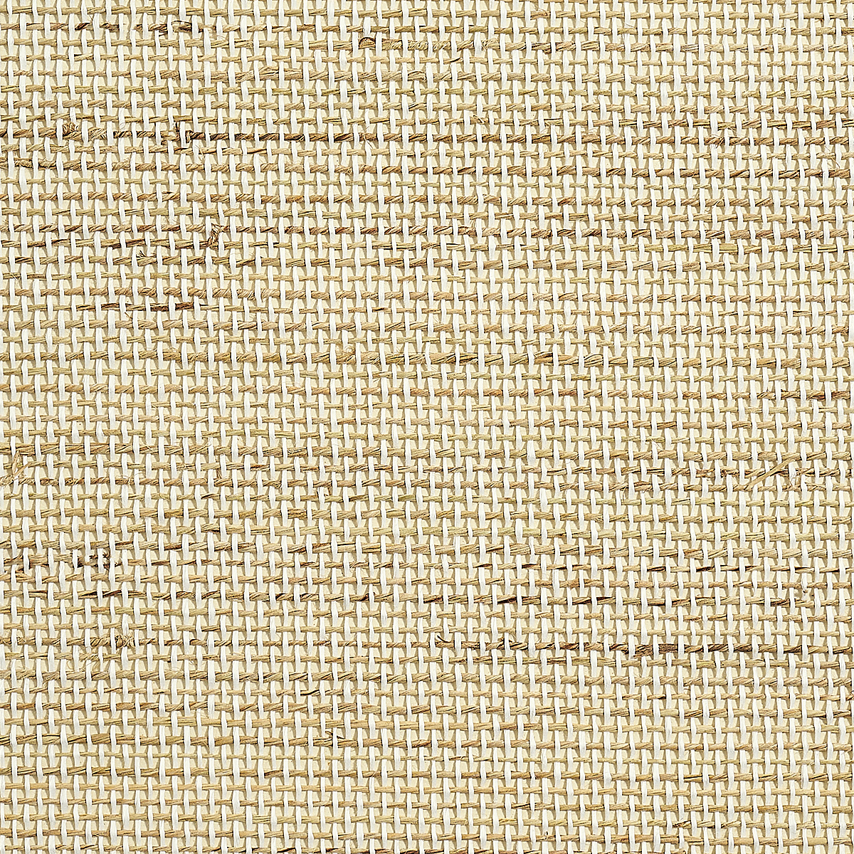 Seaside Jute — Clam Shell