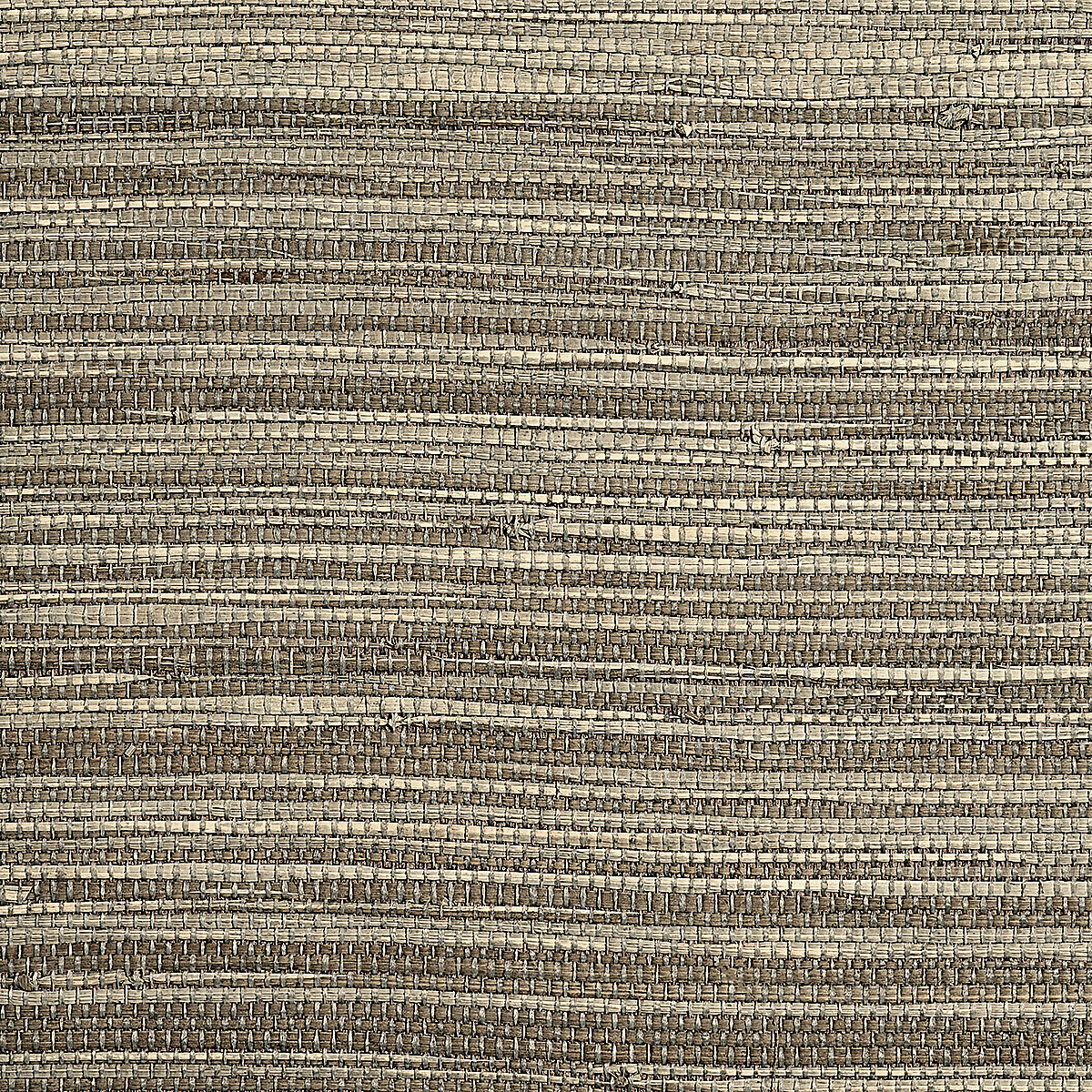 Grey Coast