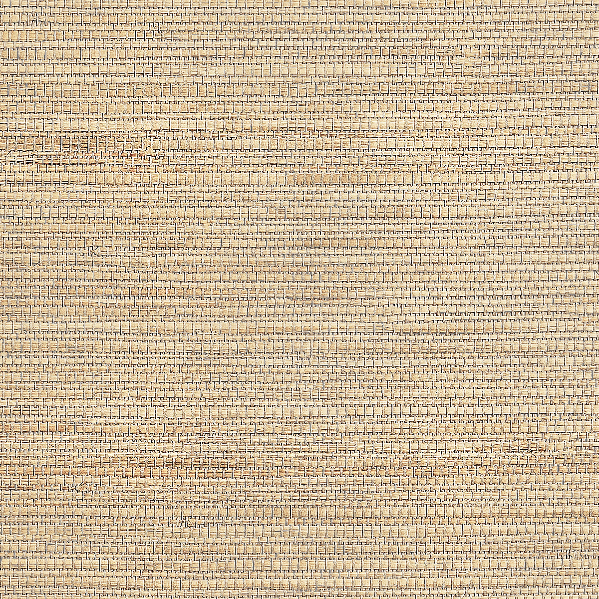 Coastal Beige