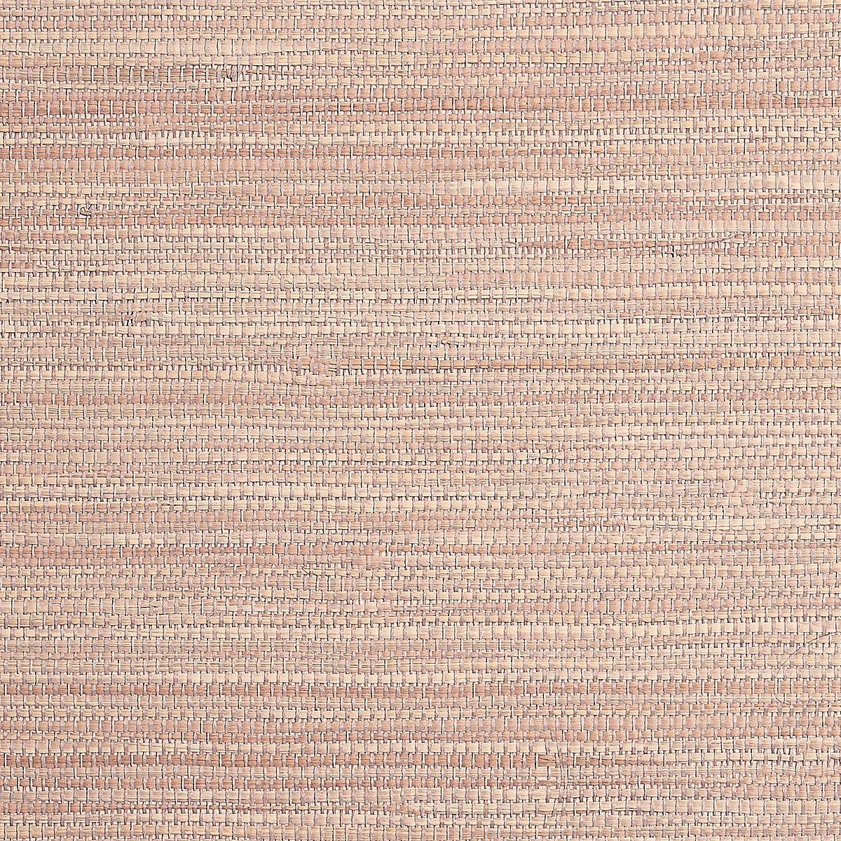 Pink Shell