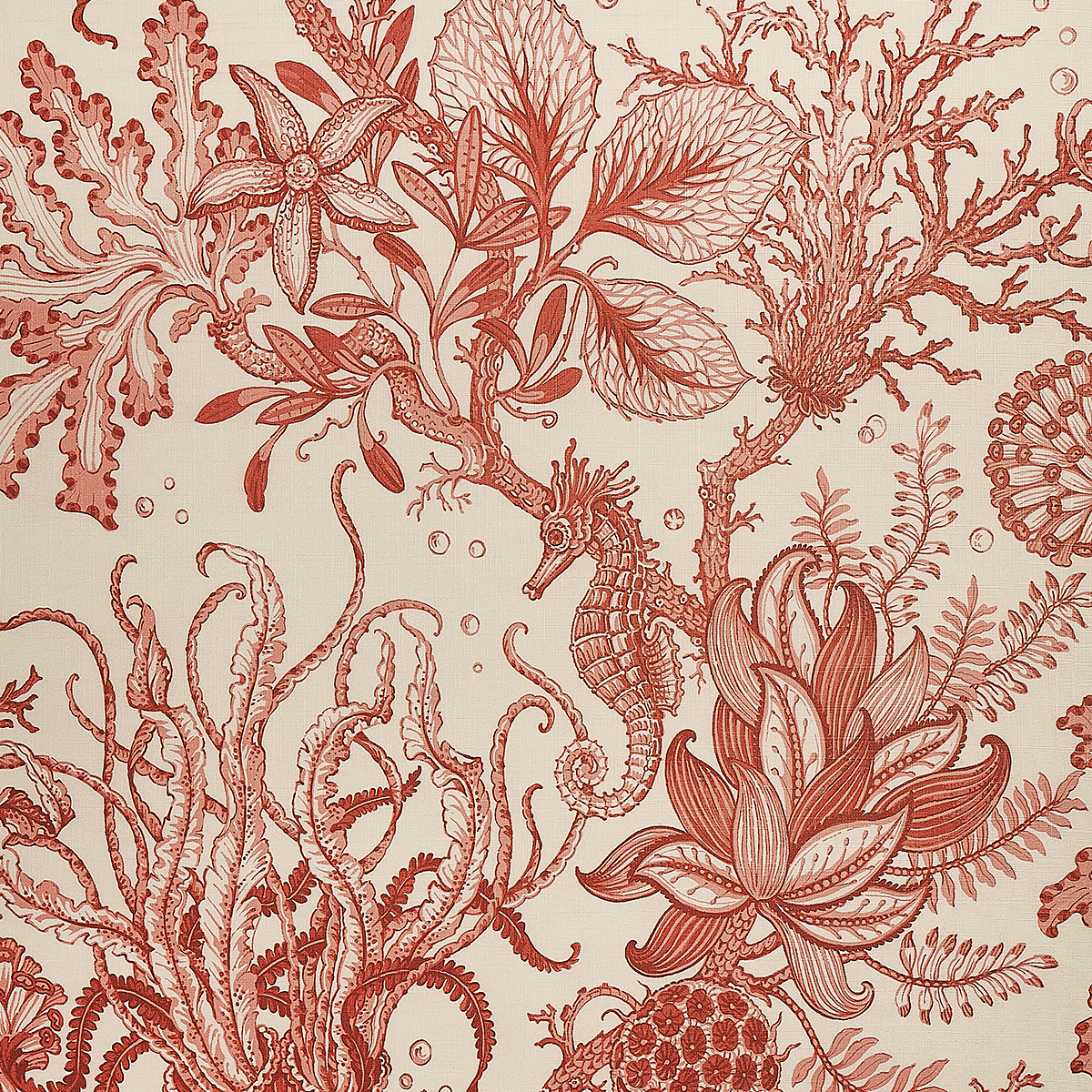 Coral Coast on Canvas Linen