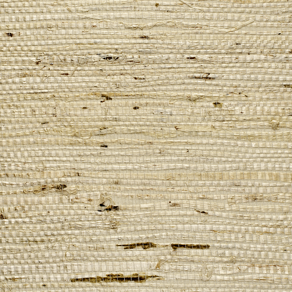 Extra Fine Arrowroot — Feather