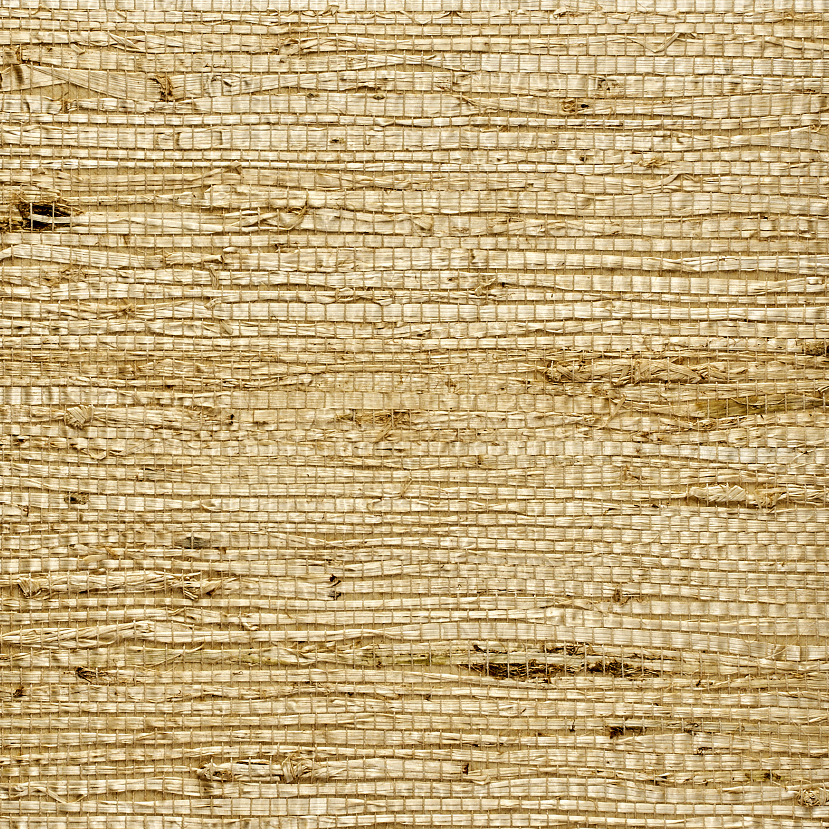Wheat