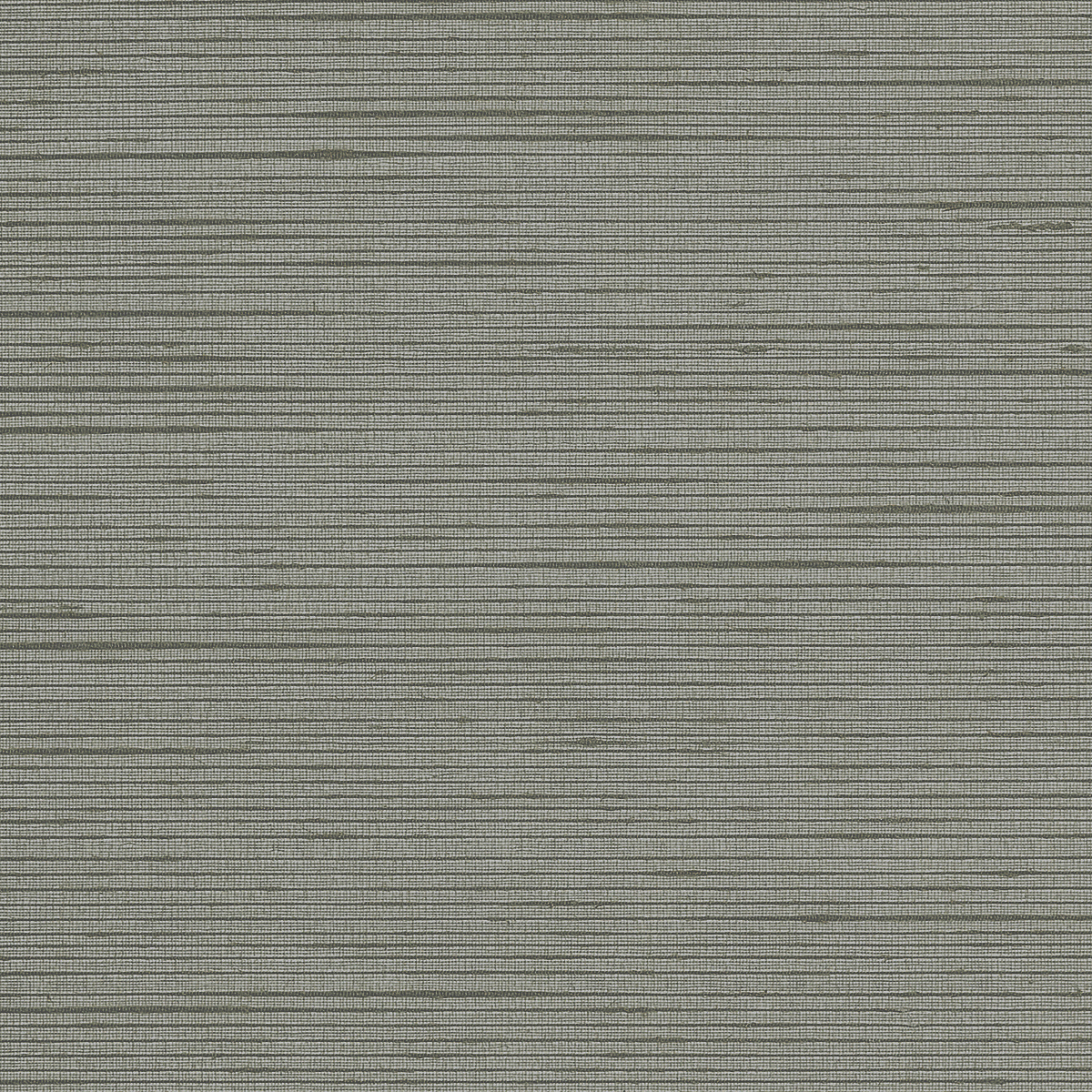 Graphite Gray
