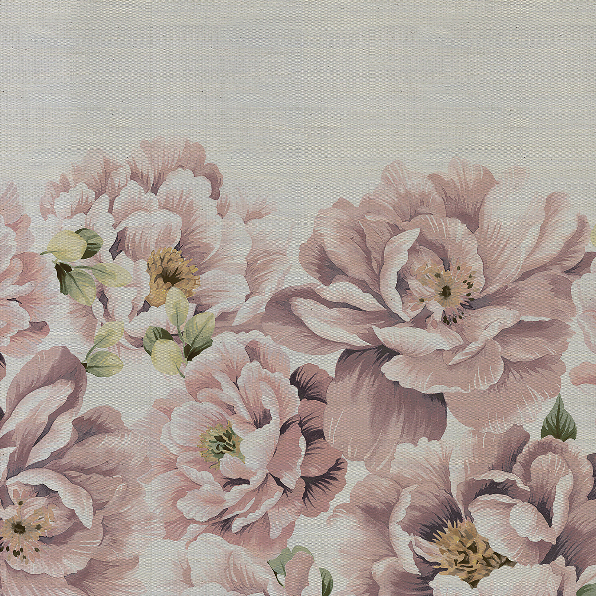 Blush Queen on Manila Hemp