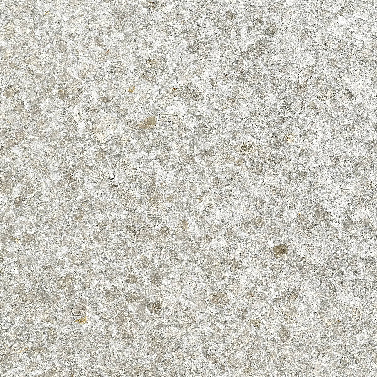 Forbidden White