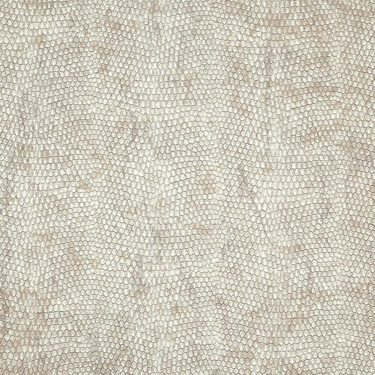 Rattlesnake
