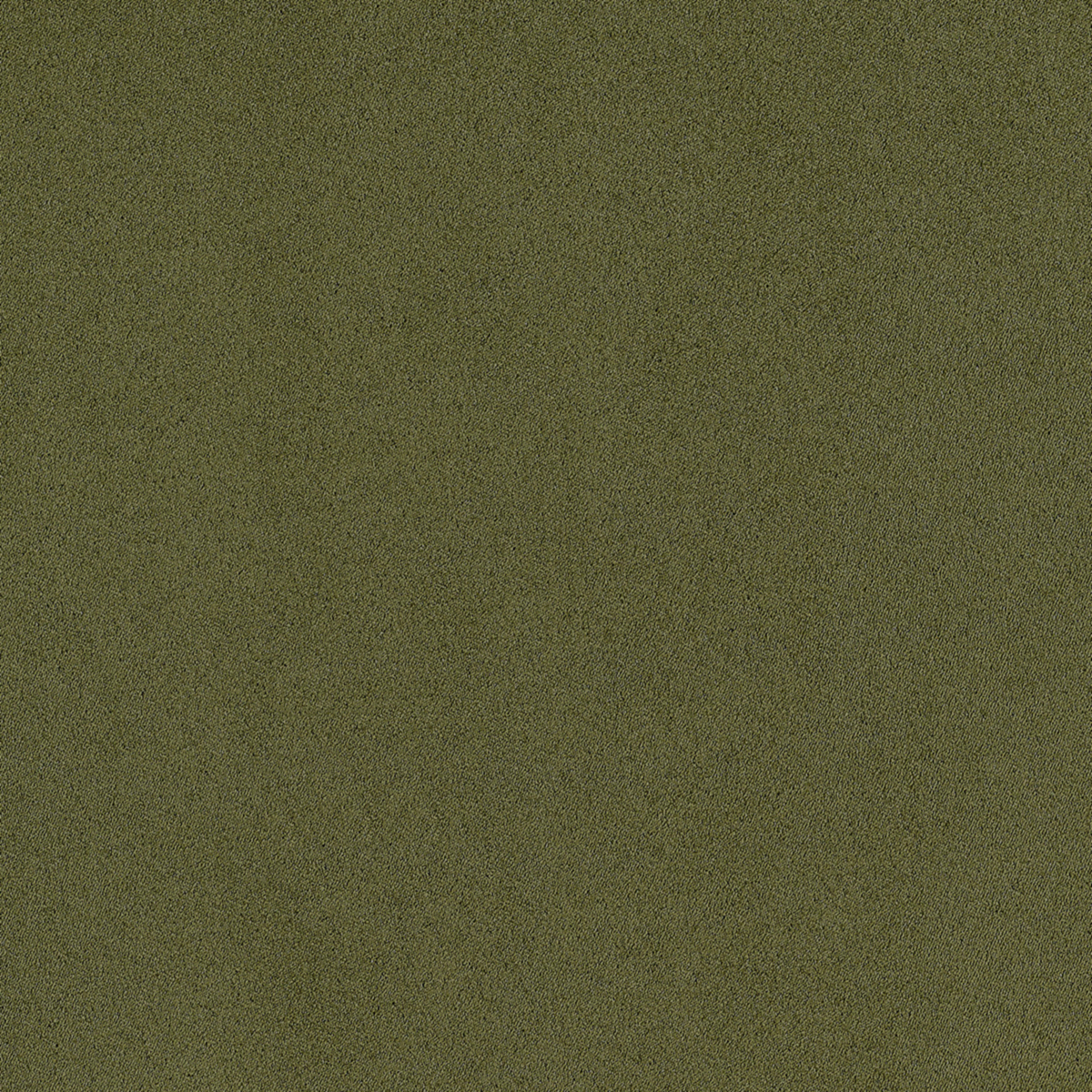 Lush Olive